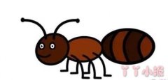 蚂蚁的画法步骤涂颜色 蚂蚁简笔画图片