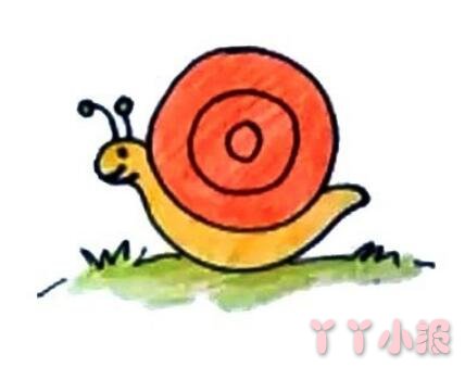 蜗牛怎么画简单又好画带步骤涂颜色