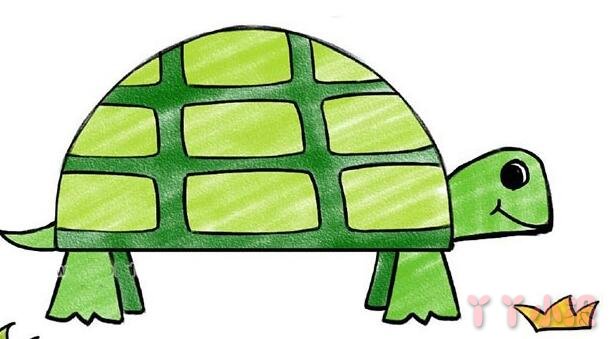 乌龟的画法步骤涂颜色 乌龟简笔画图片