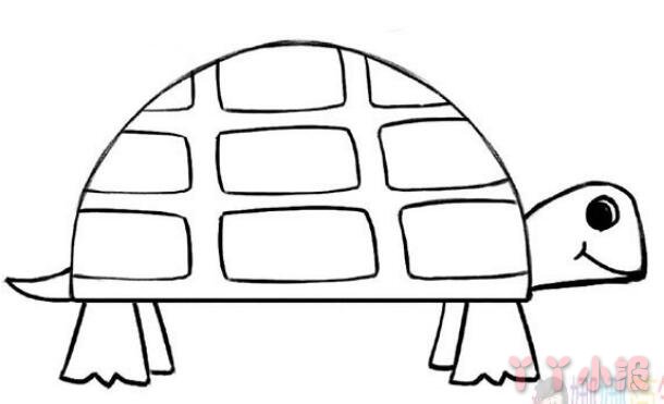 乌龟的画法步骤涂颜色 乌龟简笔画图片