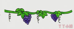 葡萄树简笔画带颜色  葡萄树怎么画简单又好看带步骤