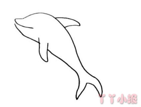 海豚简笔画带颜色  海豚怎么画简单又好看带步骤