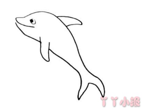 海豚简笔画带颜色  海豚怎么画简单又好看带步骤