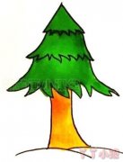 松树的画法步骤涂颜色 松树简笔画图片