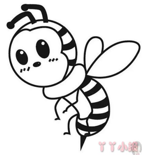 小蜜蜂的画法步骤涂颜色 小蜜蜂简笔画图片