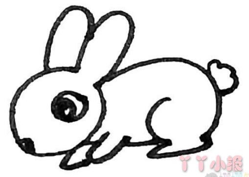 怎样画兔子简笔画填色简单又漂亮带步骤