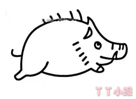 儿童画野猪怎么画带步骤涂色 野猪简笔画图片