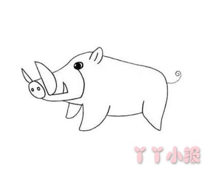 怎么画野猪简单又好看带步骤 野猪简笔画图片