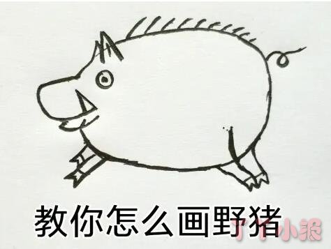 野猪简笔画涂色 野猪的画法带步骤简单又好看