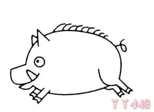 卡通野猪简笔画涂色 野猪的画法带步骤简单又好看